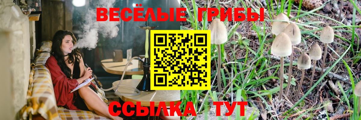 Псилоцибиновые грибы Magic Shrooms Элиста